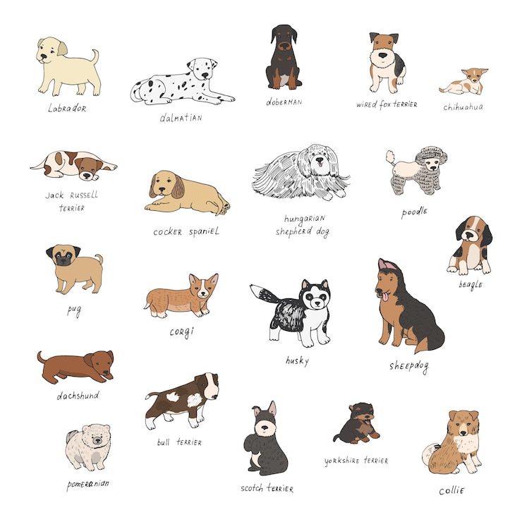Vector 犬動物ベクトルイラストセット