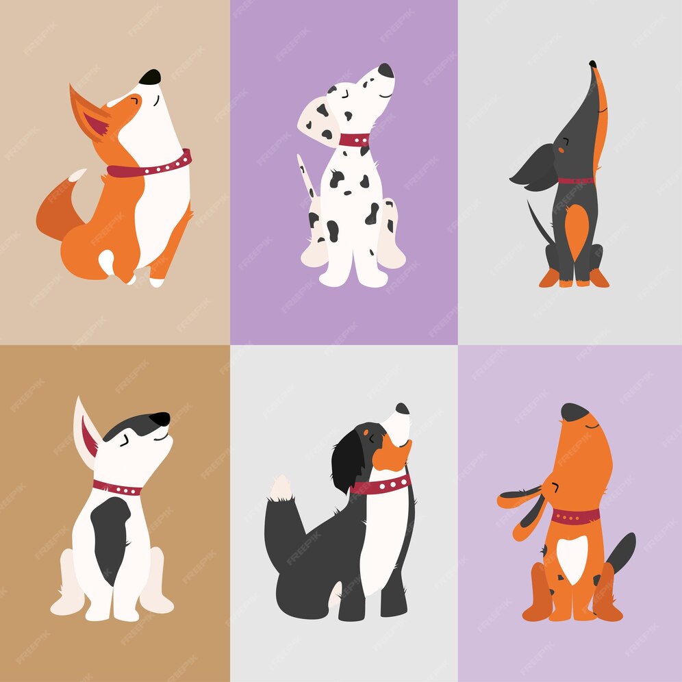 Dogs breed as icon cartoon style dalmatian corgi dachshund bernese mountain dog bull terrier.
