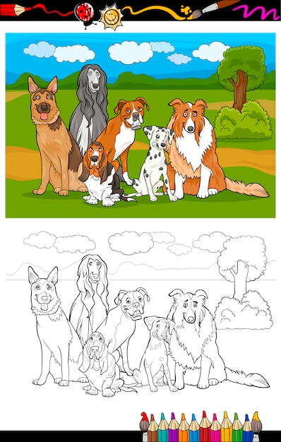 dogs breeds cartoon for coloring book