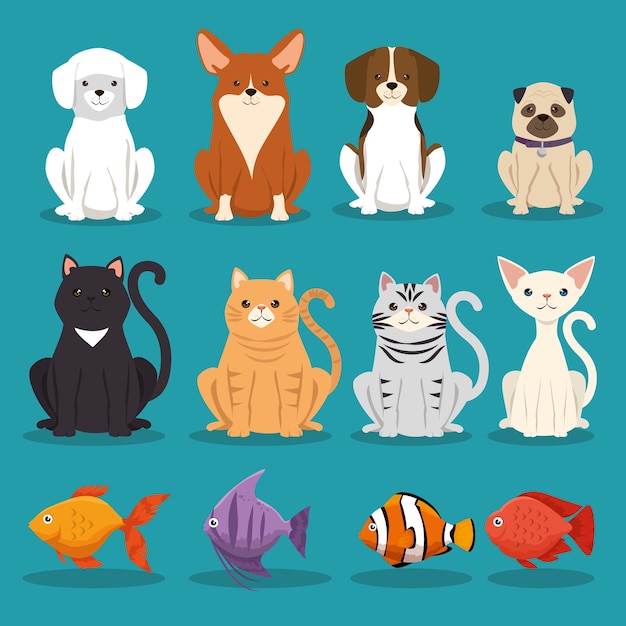 dogs cats and fish pets characters