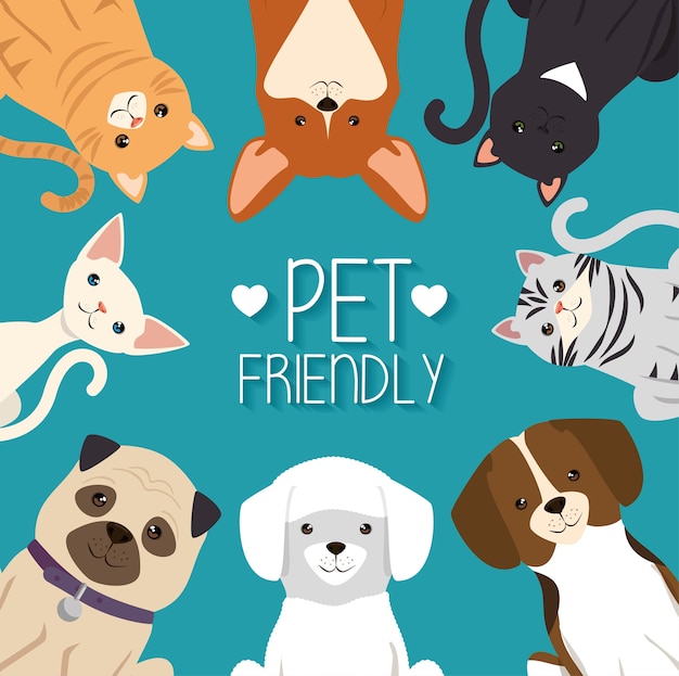 Vector dogs and cats pets friendly