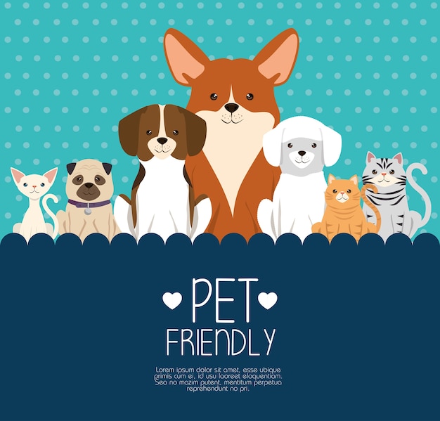 Dogs and cats pets friendly