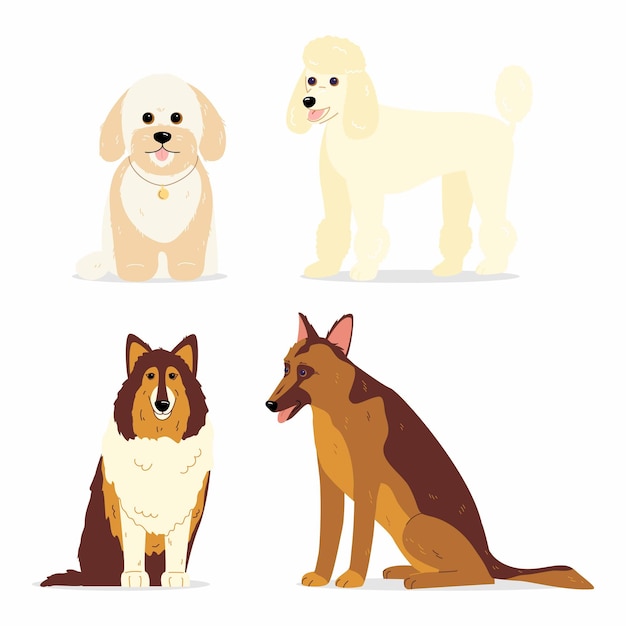 Vector dogs collection various breeds of dogs such as mini poodle collie german shepherd and maltipoo