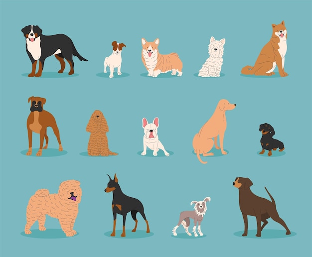 ベクトル 犬のコレクション 面白い漫画のベクトル イラスト トレンディなフラット スタイルの犬の異なる品種フレンチ ブルドッグ ロットワイラー ダックスフント ドーベルマン ラブラドールかわいい小さくて大きなペット