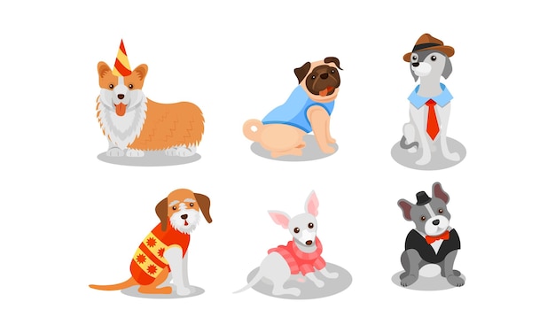 Vector dogs of different breeds wearing clothing item vector set dog fashion collection