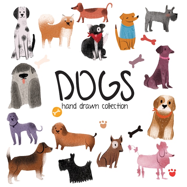 Vector dogs - hand drawn collection