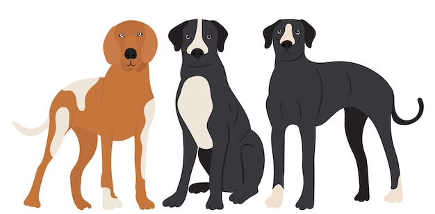 Собаки разных пород в плоском дизайне изолированы