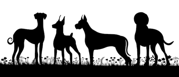 Собаки на траве силуэт на белом фоне изолированные вектор