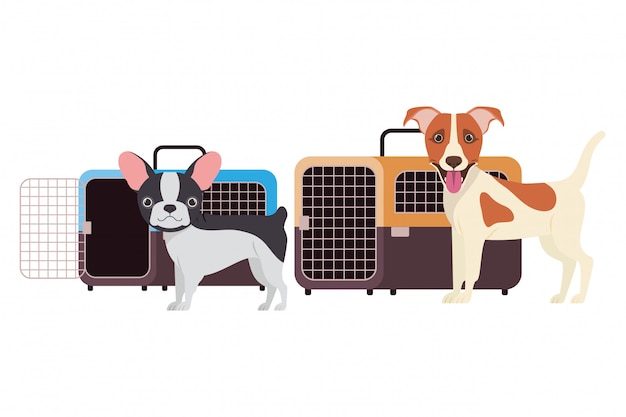 Vector dogs and pet transport boxes on white