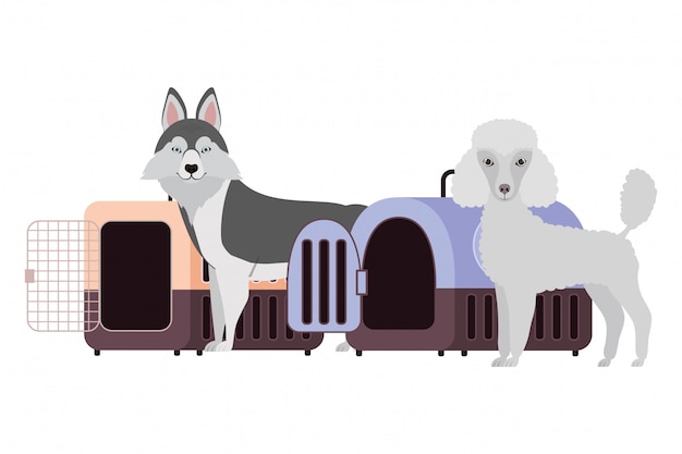 Vector dogs and pet transport boxes on white