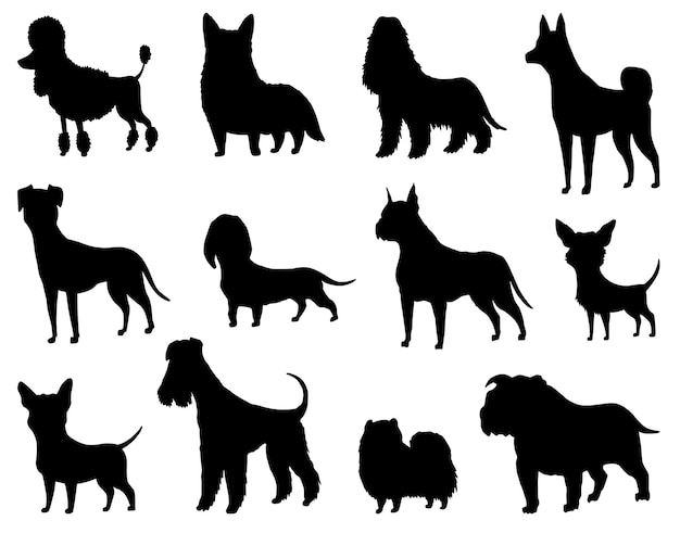 Insieme della siluetta dei cani di razze diverse vista laterale dell'icona dello stand dell'animale domestico in colore nero utilizzato per la competizione canina negozio di animali cane guida animale domestico isolato su sfondo bianco