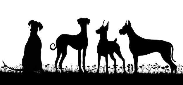 Dogs walking silhouette on white background isolated