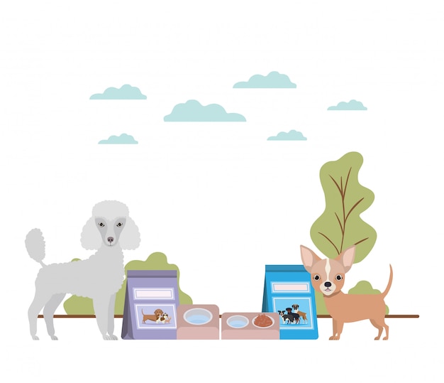 Dogs with bowl and pet food on landscape