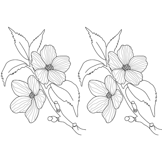 Dogwood Blossom Branch Line Kunst