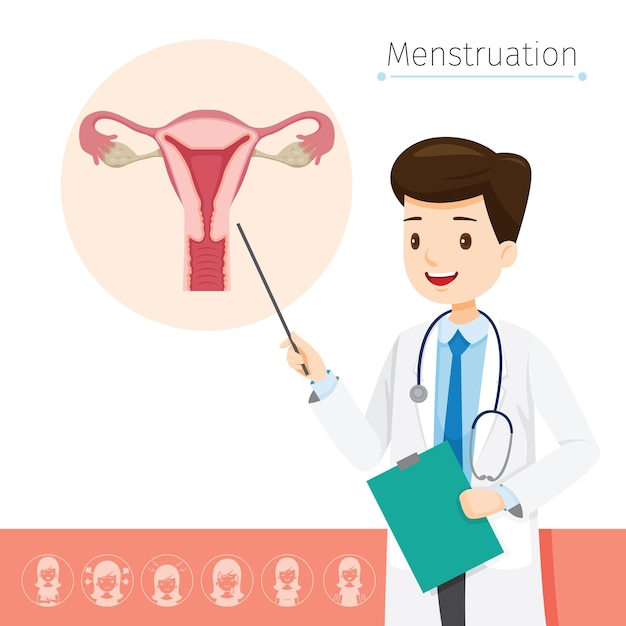 Dokter beschrijft de oorzaak van menstruatie