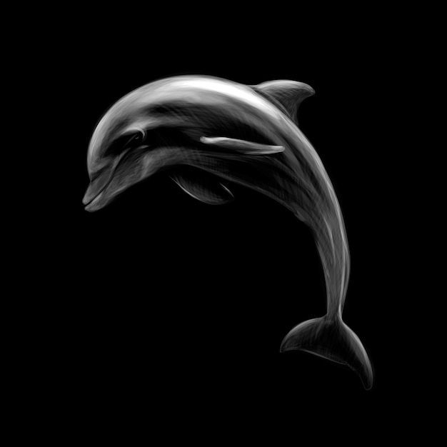Vettore delfino su sfondo nero, disegnato a mano. illustrazione vettoriale