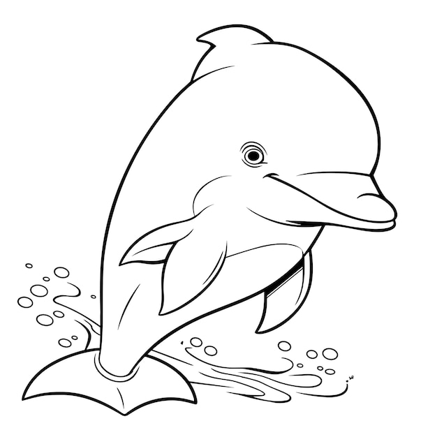 Vector dolphin coloring pages for children black and white