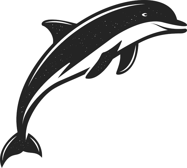 イルカ 流線型の体と遊び心のある高度に知的な海洋哺乳類