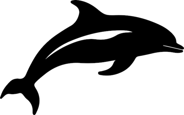 Vector a dolphin is on a white background with the text  dolphin