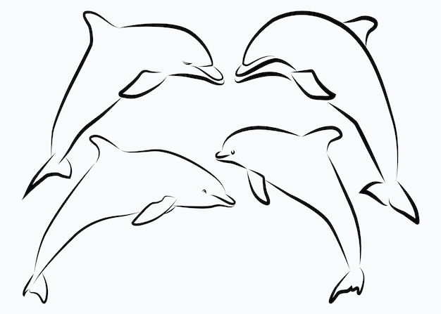 Dolphin line art sketch vector illustratie