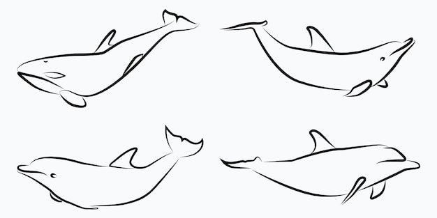 Illustrazione vettoriale di dolphin line art sketch