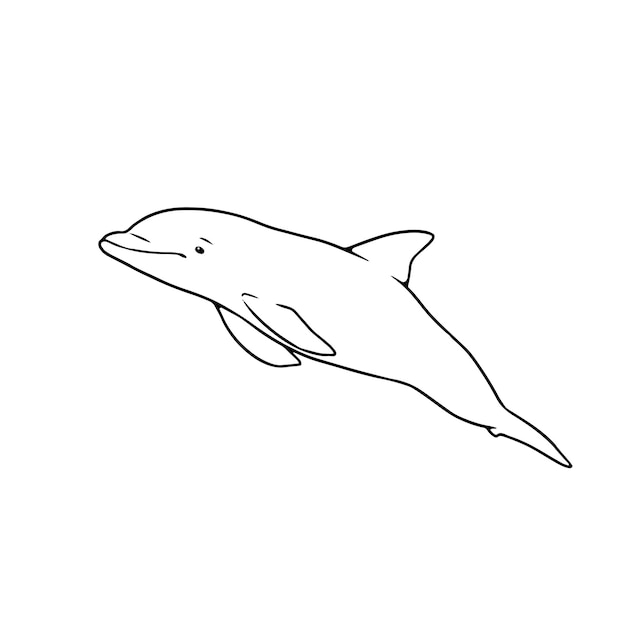 Рисунок дельфина для окрашивания