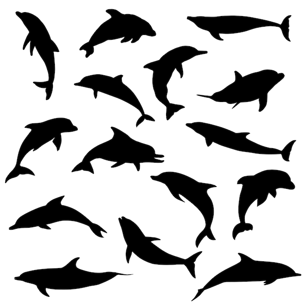 Dolphin sea animals silhouette clip art vector