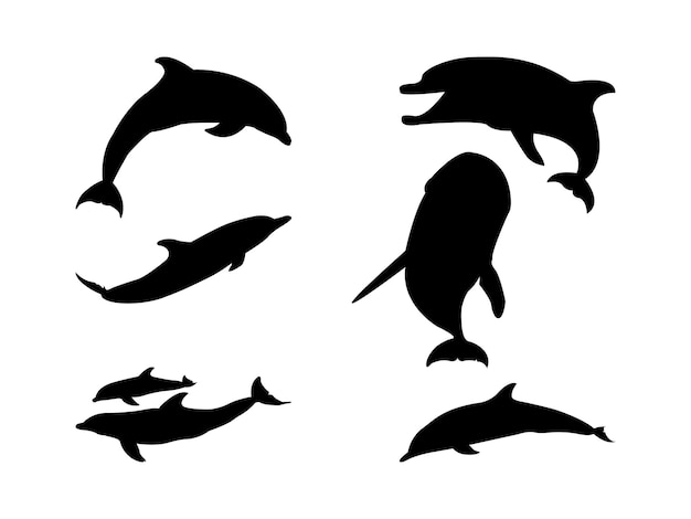 Dolphin Silhouette