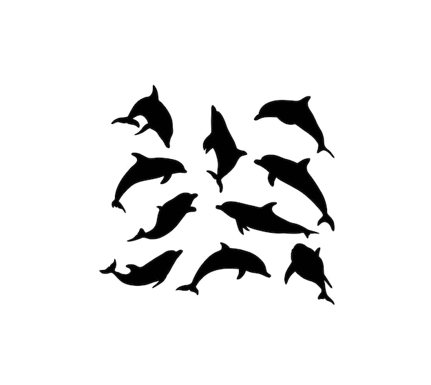 Dolphin Silhouettes art vector design