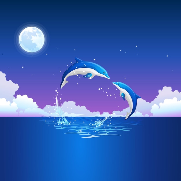 Vector dolphin vector illustration