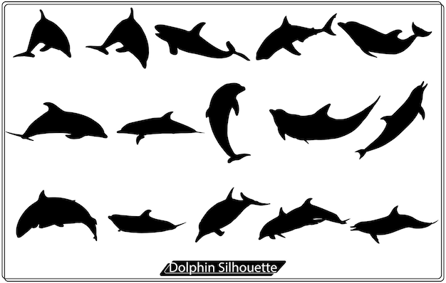 Dolphins graphic icons set Silhouette