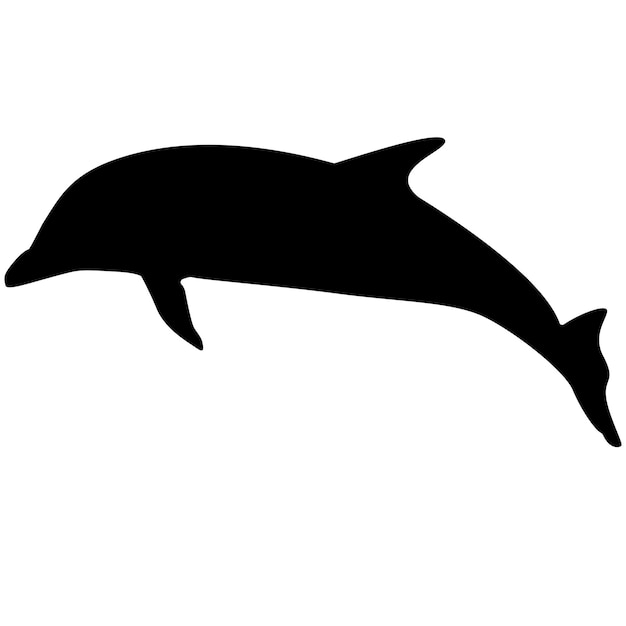 Dolphinsilhouette