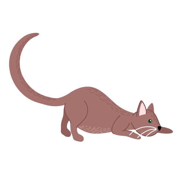 Domestic cat is hunting. Active cat life. Animal pose. Hand drawn vector illustration.