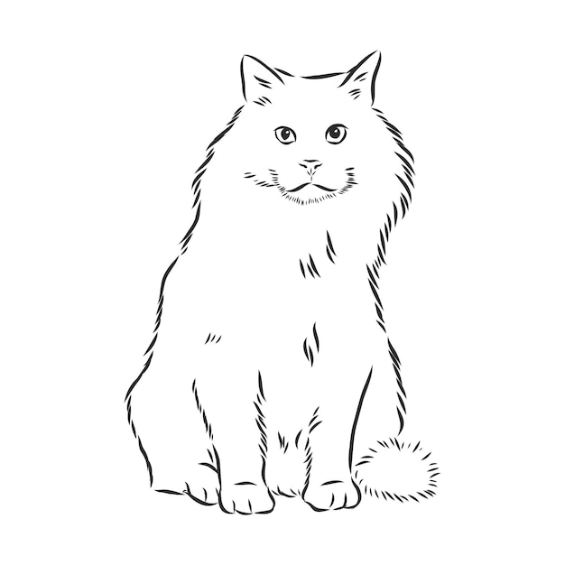 Домашняя кошка реалистичные векторные эскиз иллюстрации знак кошки