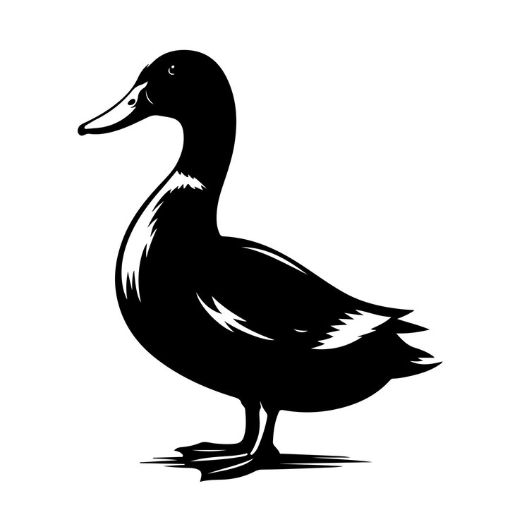 Vector domestic duck silhouette vector illustration