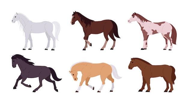 Domestic horses Cartoon thoroughbred graceful farm or ranch animals flat vector illustration set Horses collection