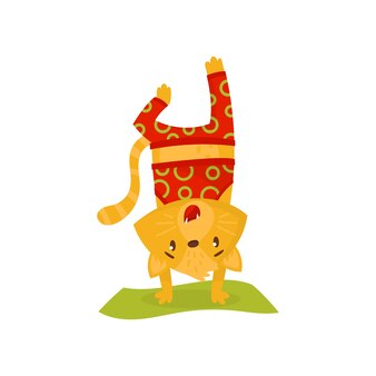 Gattino domestico che fa la verticale sul tappeto verde atleta gatto in abbigliamento sportivo rosso animale umanizzato che fa esercizio yoga disegno vettoriale piatto