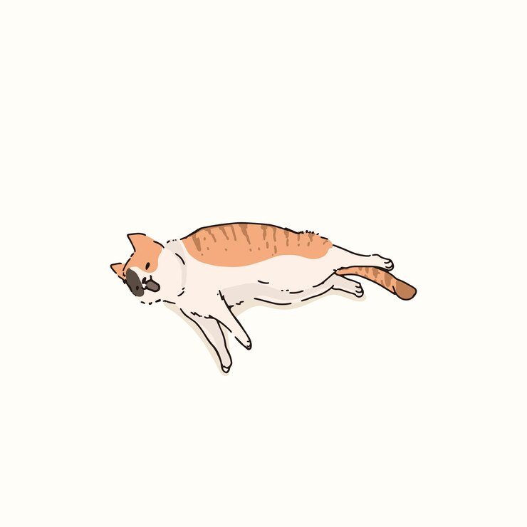Vector 국내 짧은 머리 고양이 낙서 요소 벡터