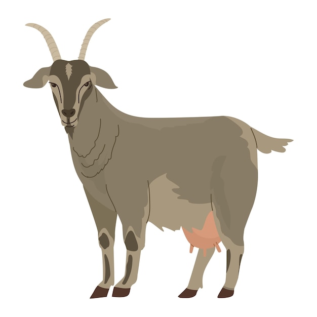 Domesticated animals Goat Farm pets Household Vector illustration Isolated object on white background