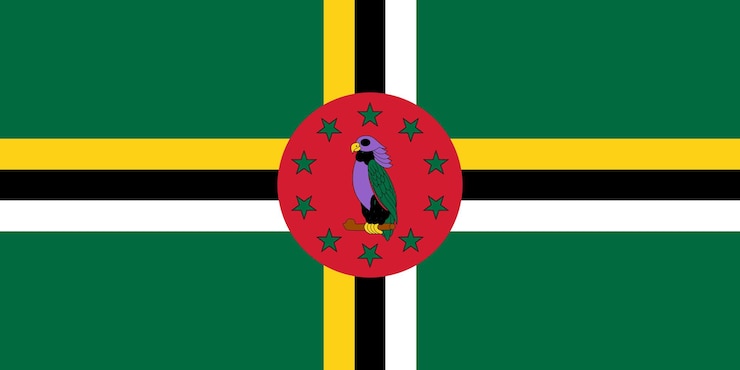 Vector dominica flag simple illustration for independence day or election