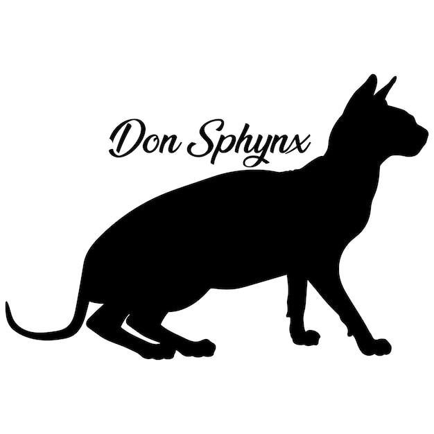 Vettore silhouette di gatto don sphynx razza di gatto logo monogramma vettore