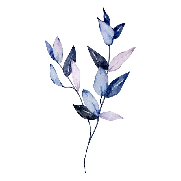 Donkerblauwe aquarel elegante tak met bladeren