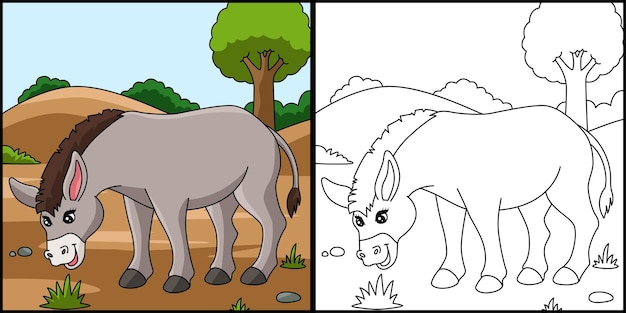 Donkey Coloring Page Colored Illustration