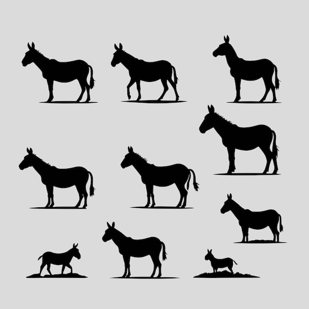 Donkey silhouette set vector illustration