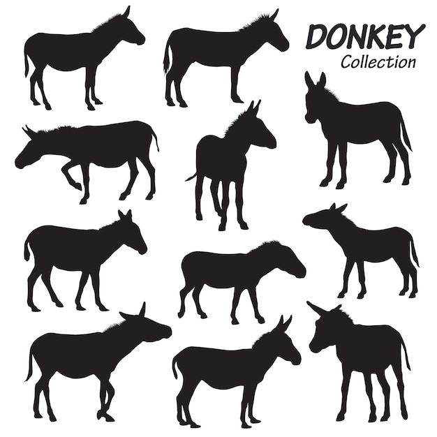 Vettore donkey silhouette