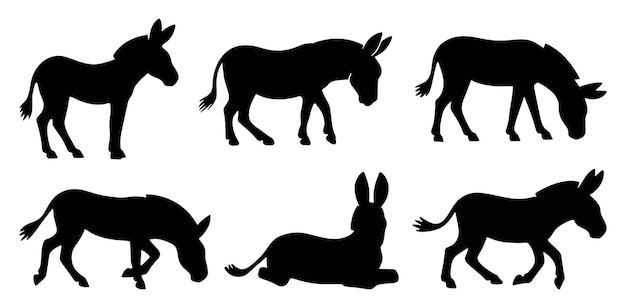 Donkey Silhouettes in Different Poses Standing Grazing and Lying Down