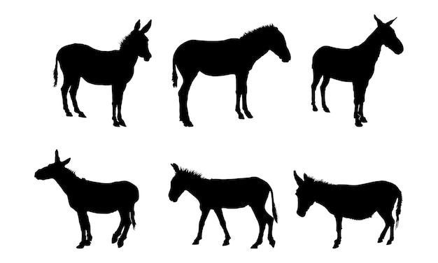 Donkey Vector Graphic Design