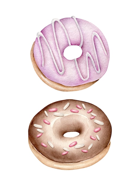 Donut