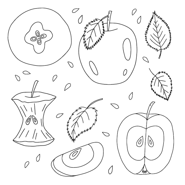 Doodle appels set Verschillende soorten appelschets Plak en stukje appel vectorillustratie