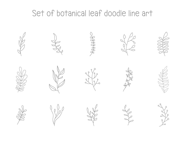 doodle art line botanical leaf element for decoration or printing